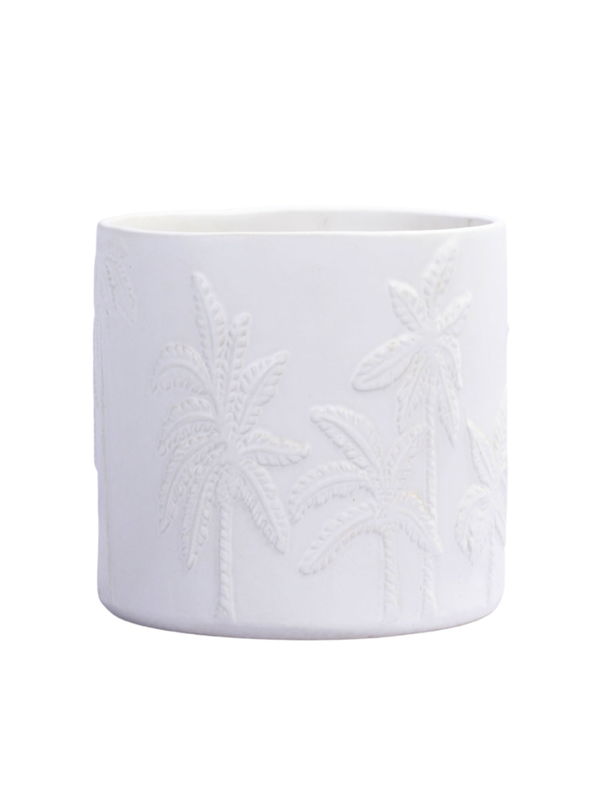 Palm Planter