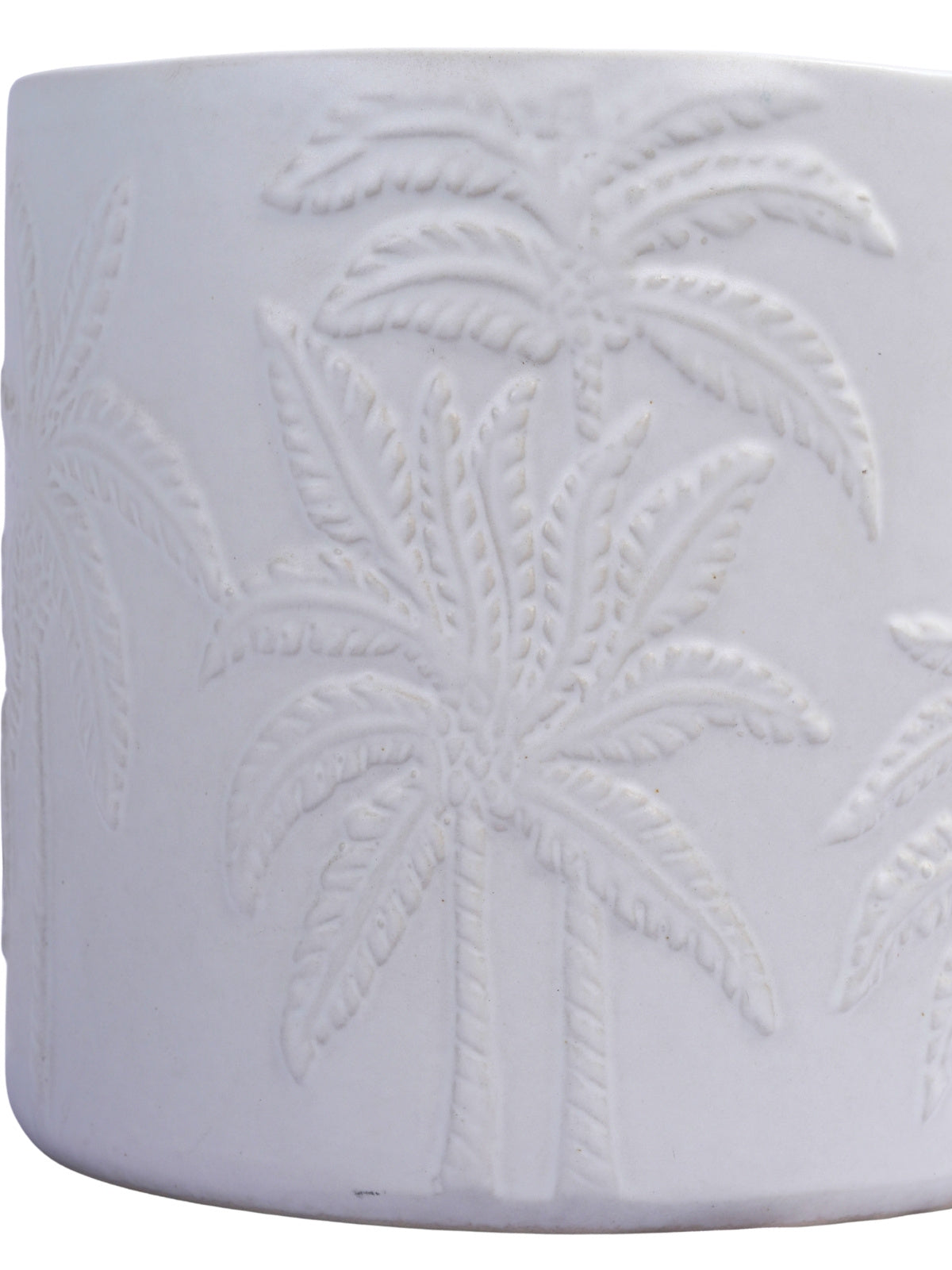 Palm Planter