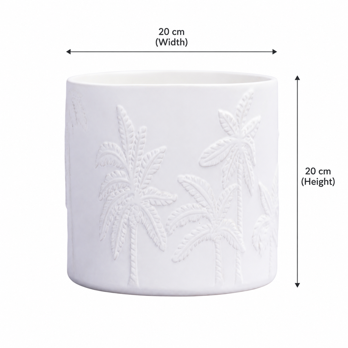 Palm Planter