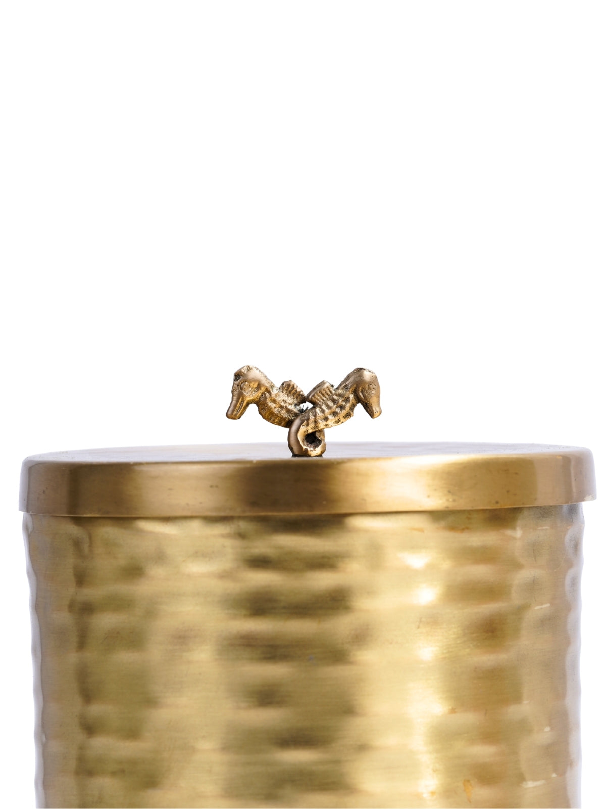 Seahorse ice bucket