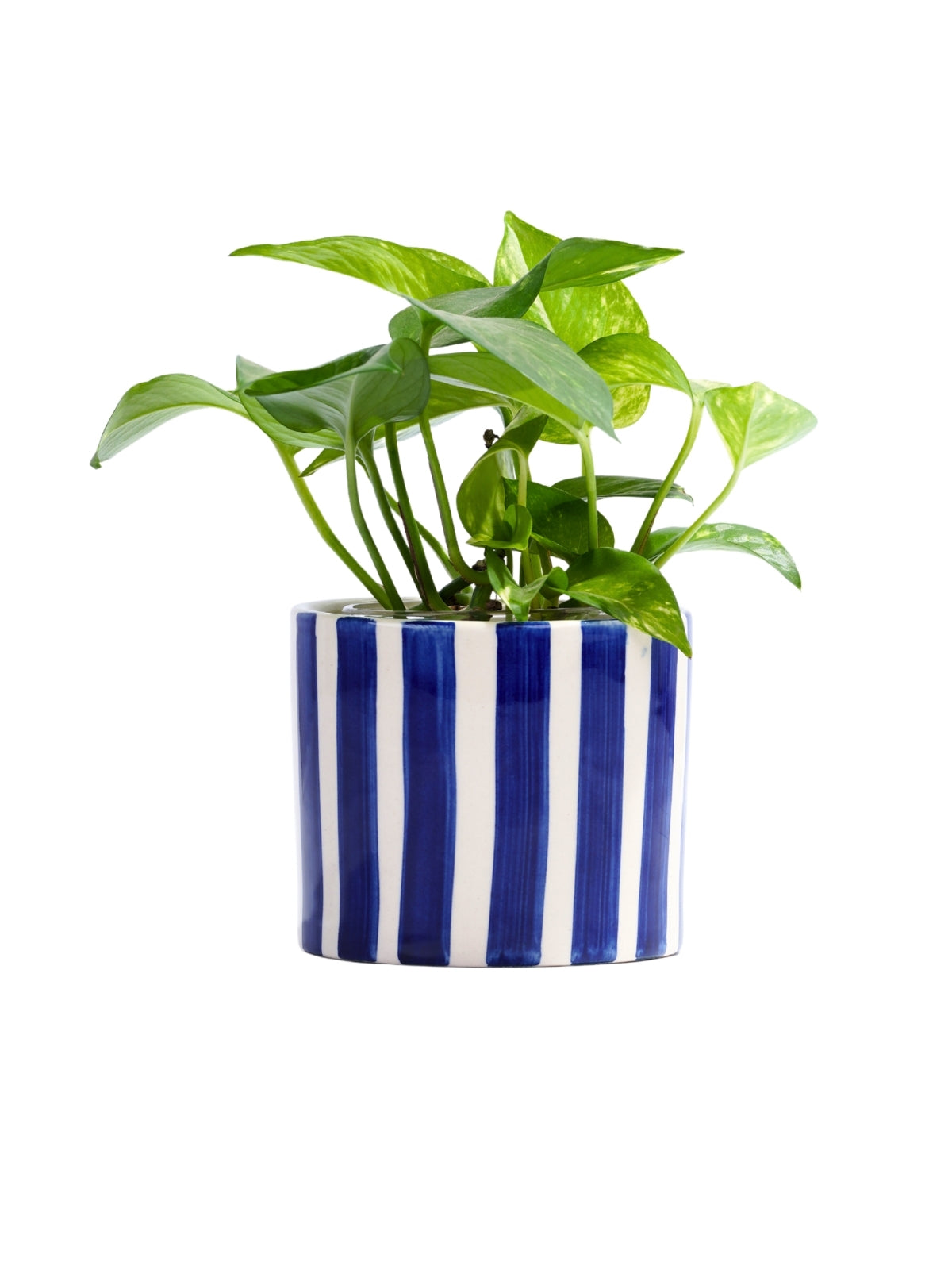Azure Planter