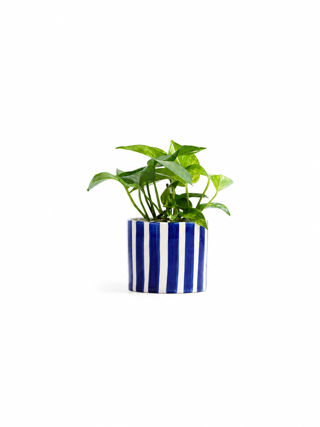 Azure Planter